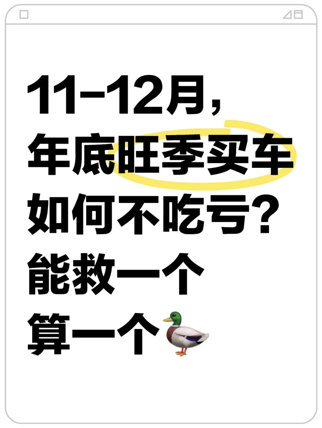 11-12月，非刚需别买车？不如试试瓜子