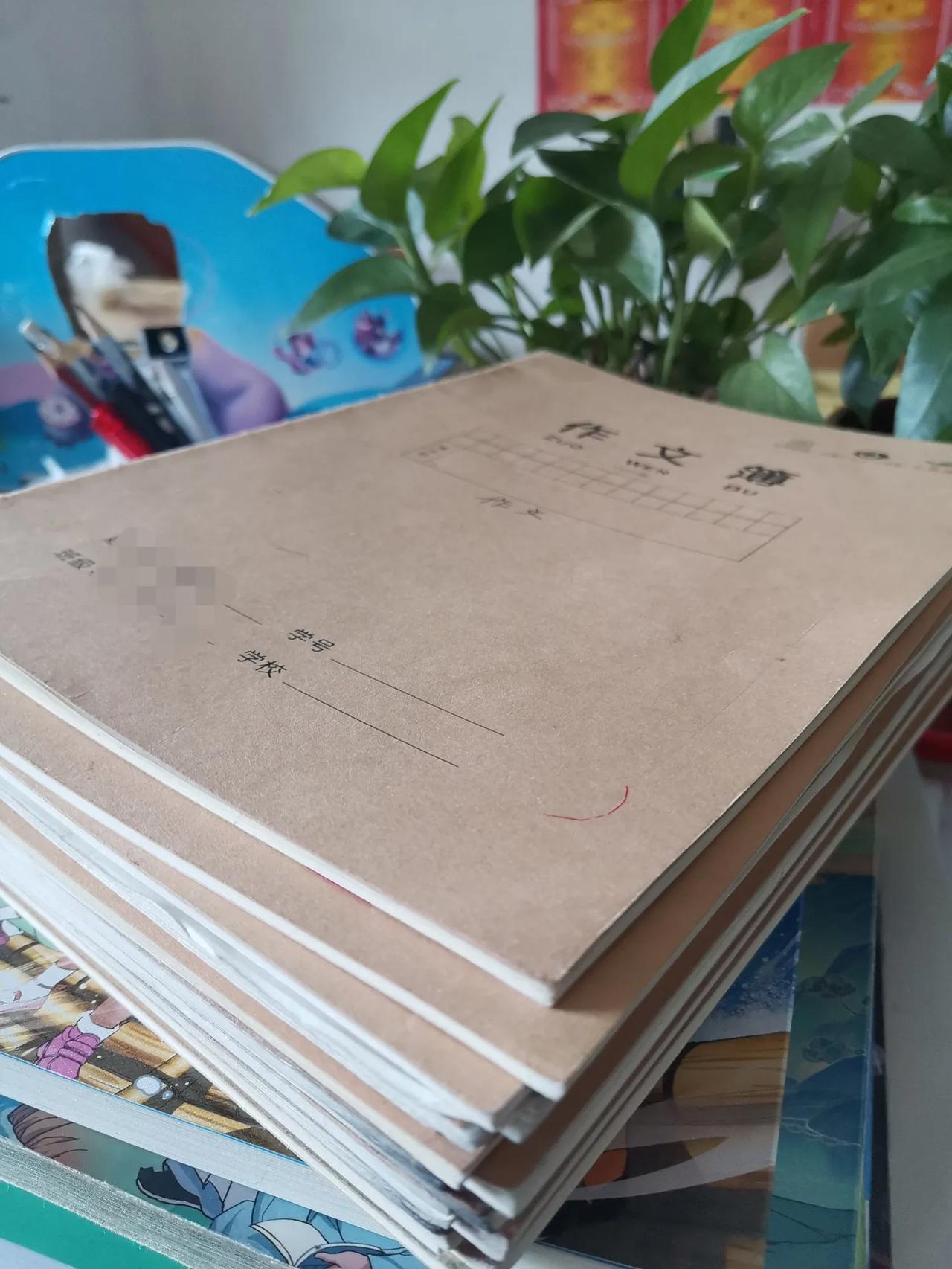 嘿嘿，你们家的娃，三年级一个学期写了多少本作业本呢？

儿子中午整理书包的时候，