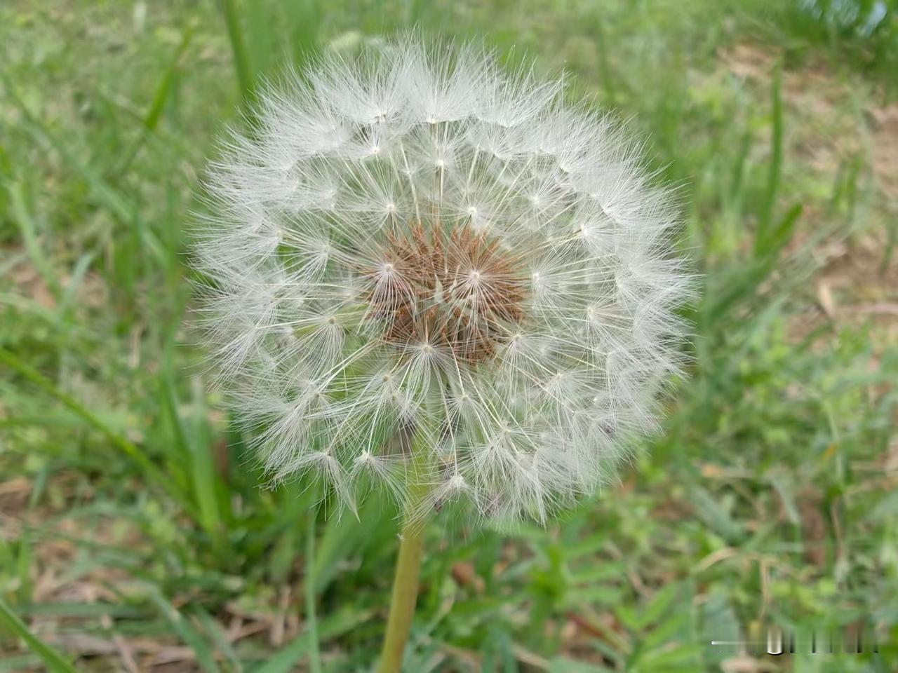 有老公最大的好处是什么呀? 
【小对联】
上：底稿；
下：……？