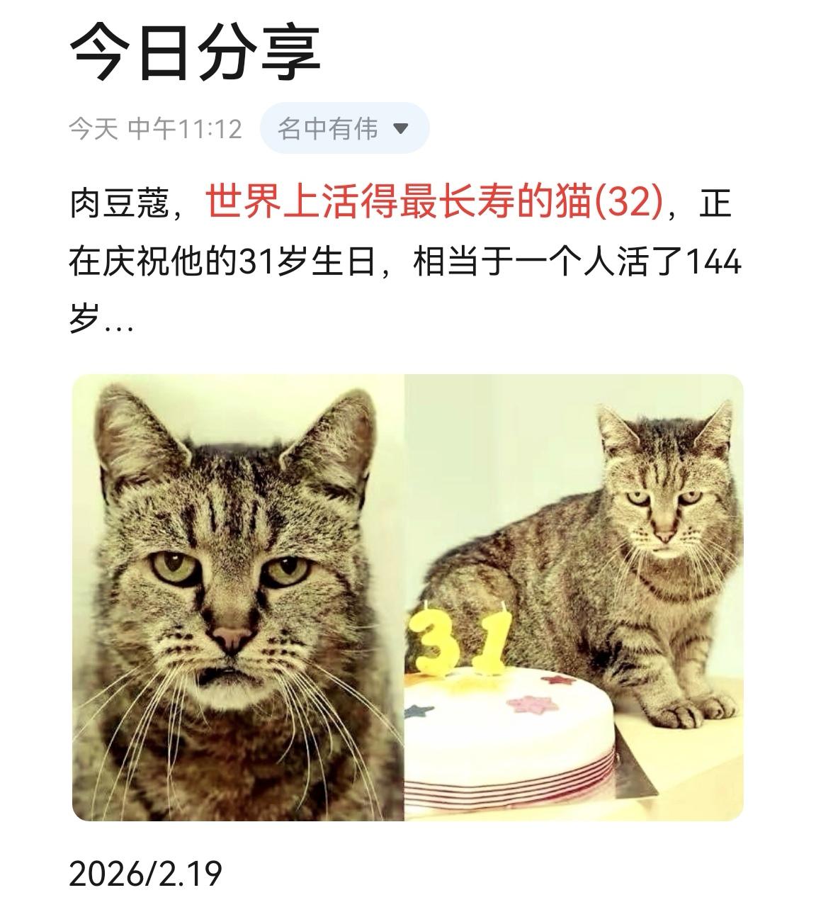 肉豆蔻，世界上活得最长寿的猫（32)，正在庆祝他的31岁生日，相当于一...