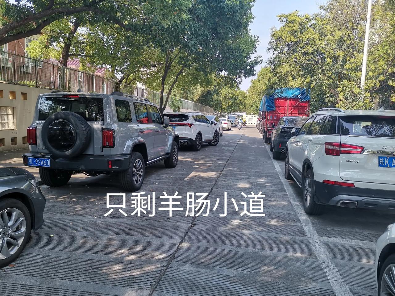 这得几年的不便？
嘉闵线七宝站施工，影响到的不仅仅是青年路口的牌楼，目前七莘路青