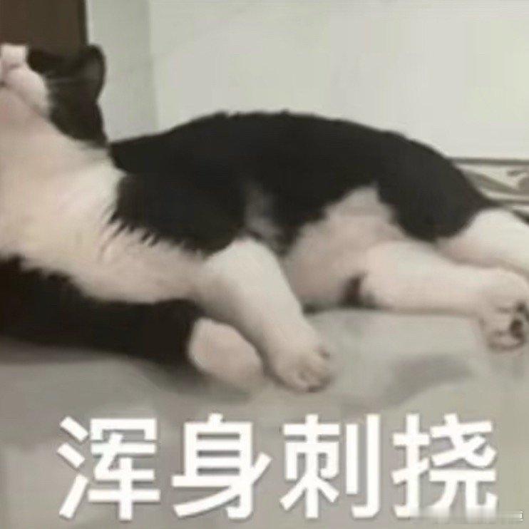 早上好宝宝们来打铁叭～昨天晚上又又又寻麻疹了涂了💊还是痒一直挠挠挠短哥给我手拽