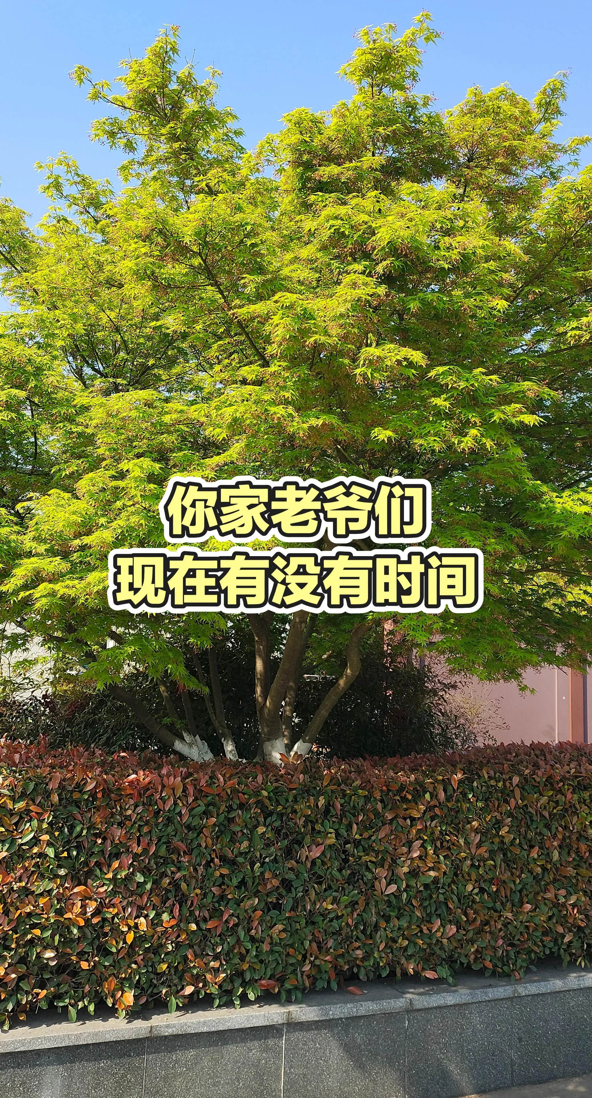 日更