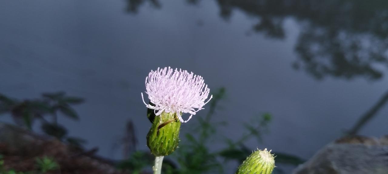 分享一下你随手拍下的照片