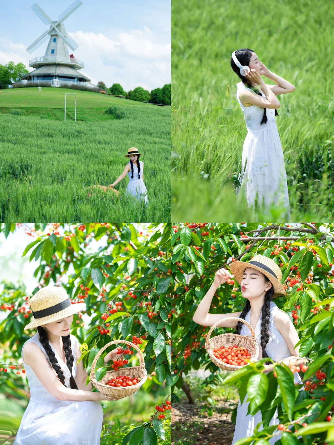 不是大理去不起，而是我的田园更有性价比