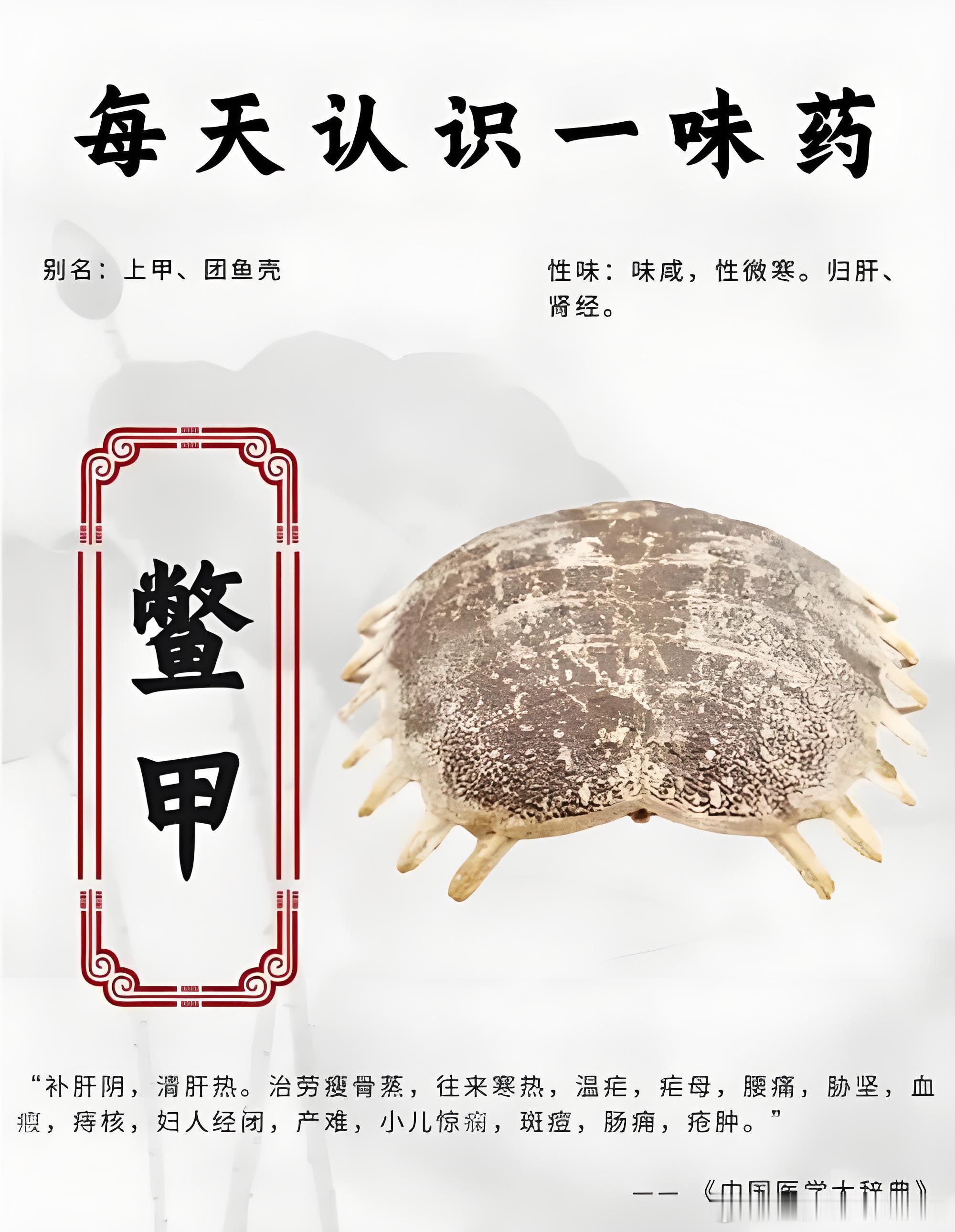 鳖甲的五大功效总结鳖甲非寻常滋补药，实为滋阴以制阳、软坚以消积、清搜以透邪之要药