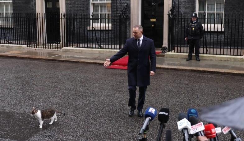 数天前，英国唐宁街首席捕鼠大臣Larry the Cat迎来19岁生日，成为唐宁