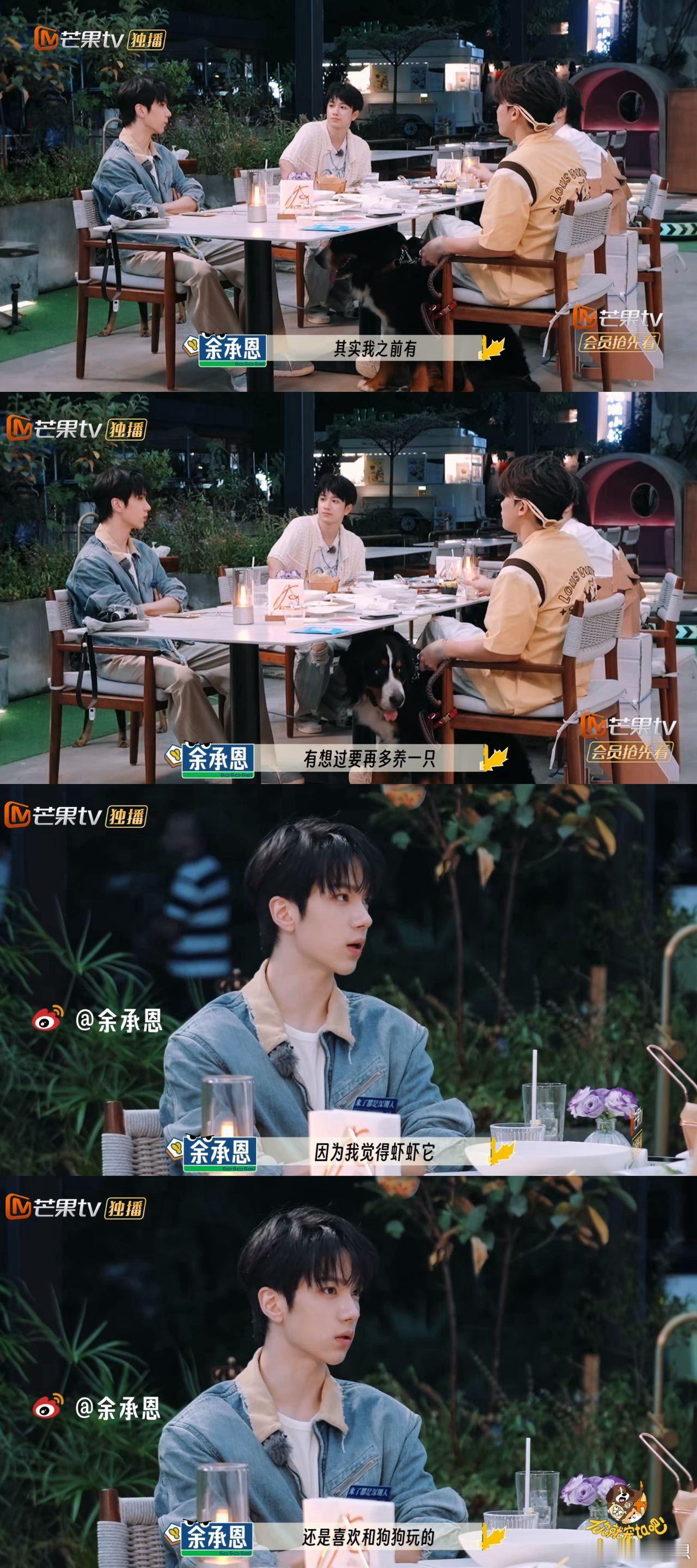 小狗人生的二分之一都在等主人回家 没有钟表的小狗，却比谁都准时。光线变了就挪个位