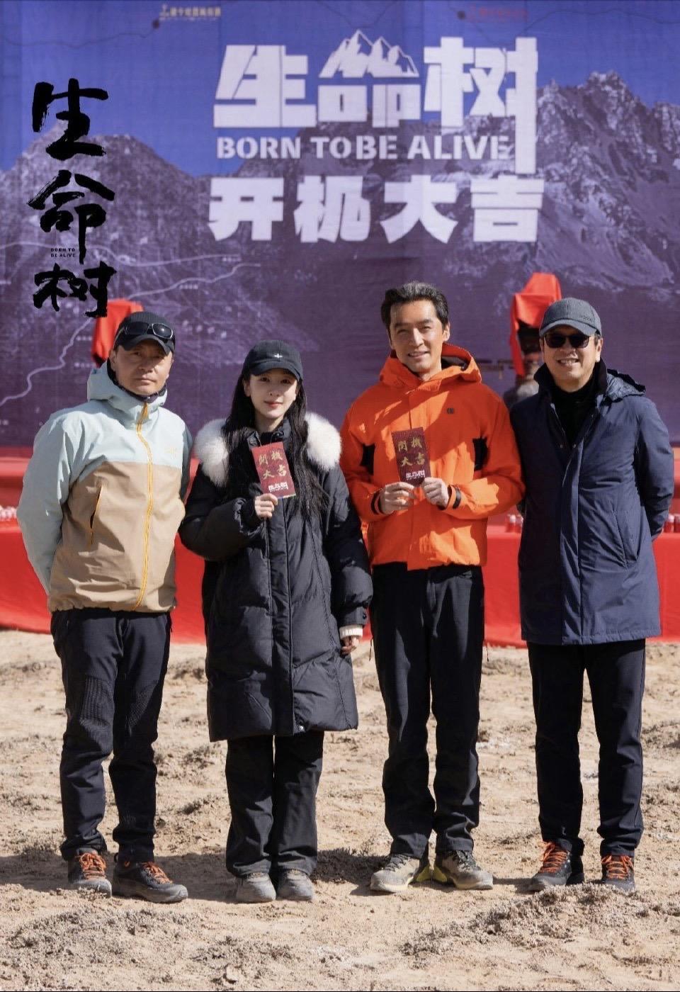 莫以小人之心度君子之腹生命树