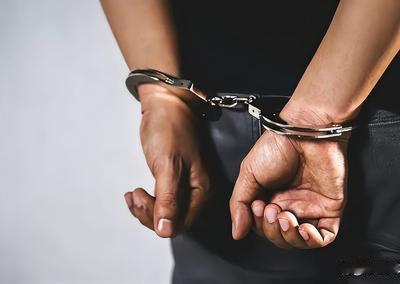 看一下中国培养的美藉华人学者“陈友麟”为啥被国安机关依法抓捕、以间谍罪公诉？
 