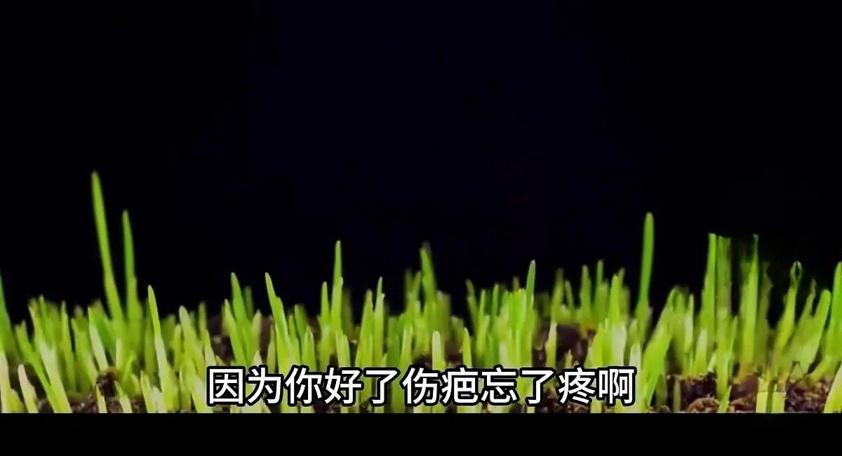 6月10日早评，创业板指数大涨149点， 反包周一的中阴线。创业板大幅上涨，是反