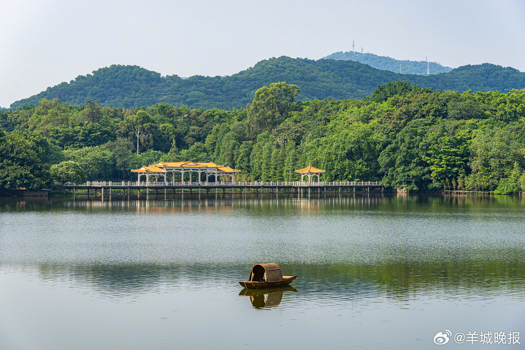【#惊扰自然得来的美照不值得炫耀#｜#街谈巷议#】广州麓湖公园，是不少观鸟爱好者