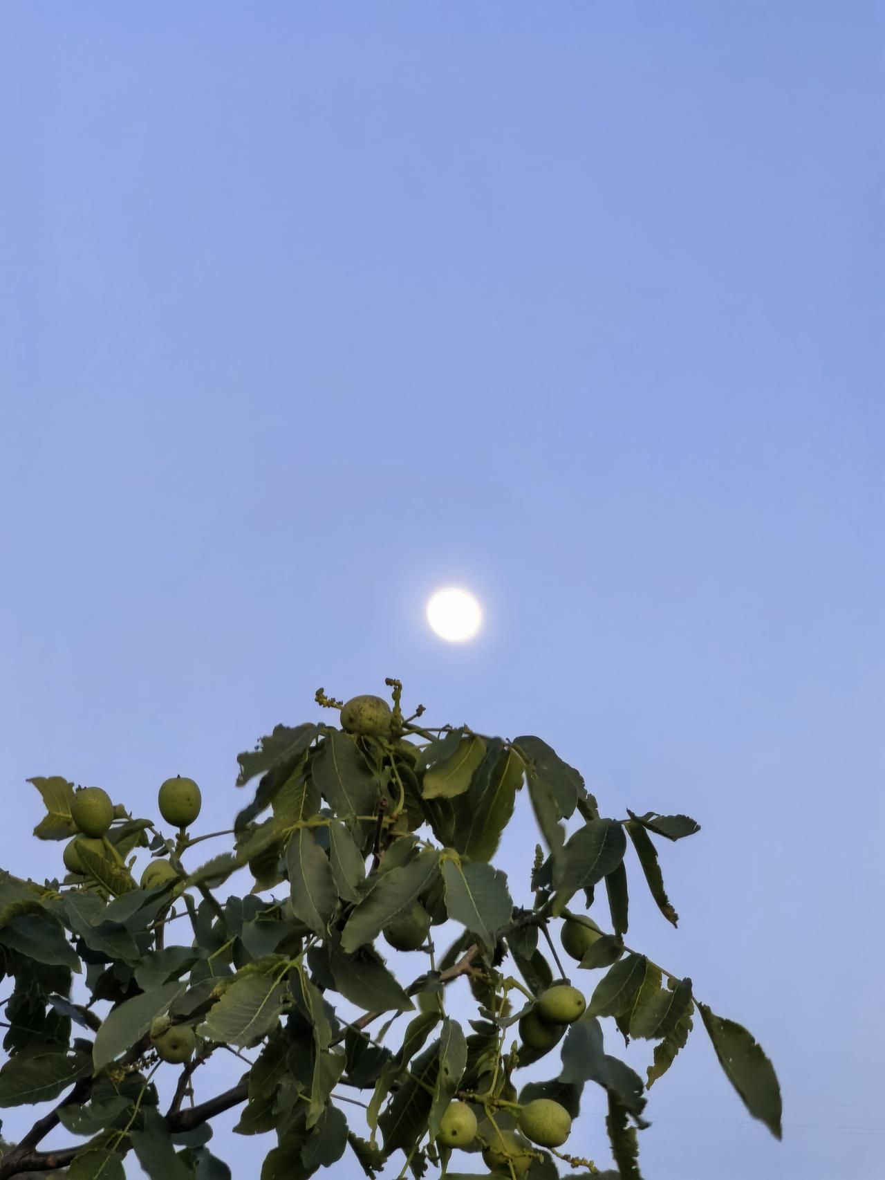 《夜泉》

一一袁中道（明）

山白鸟忽鸣，石冷霜欲结。

流泉得月光，化为一溪