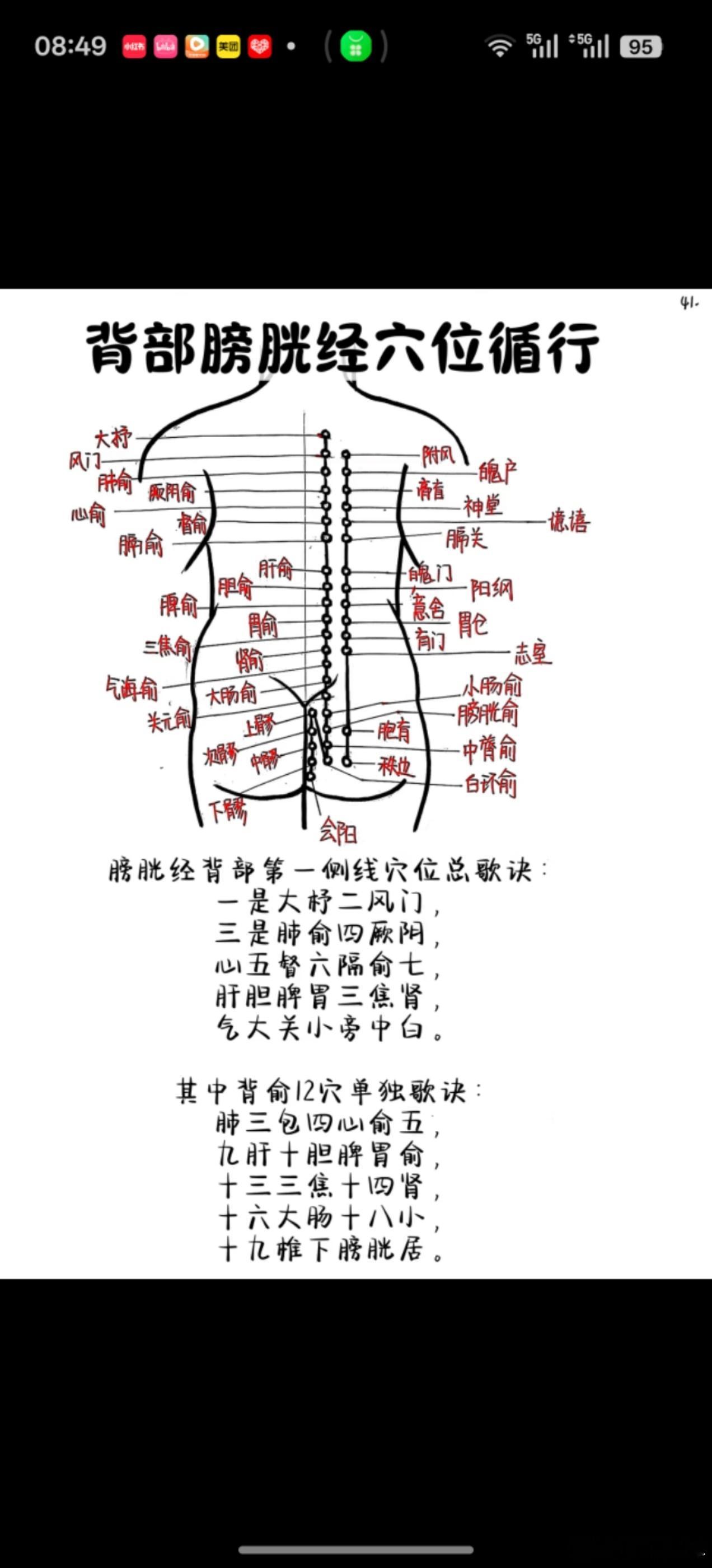 十二经络气血作用 背诵口诀气血为根经络路，周流十二循环渡。气主温煦推运化，血司濡