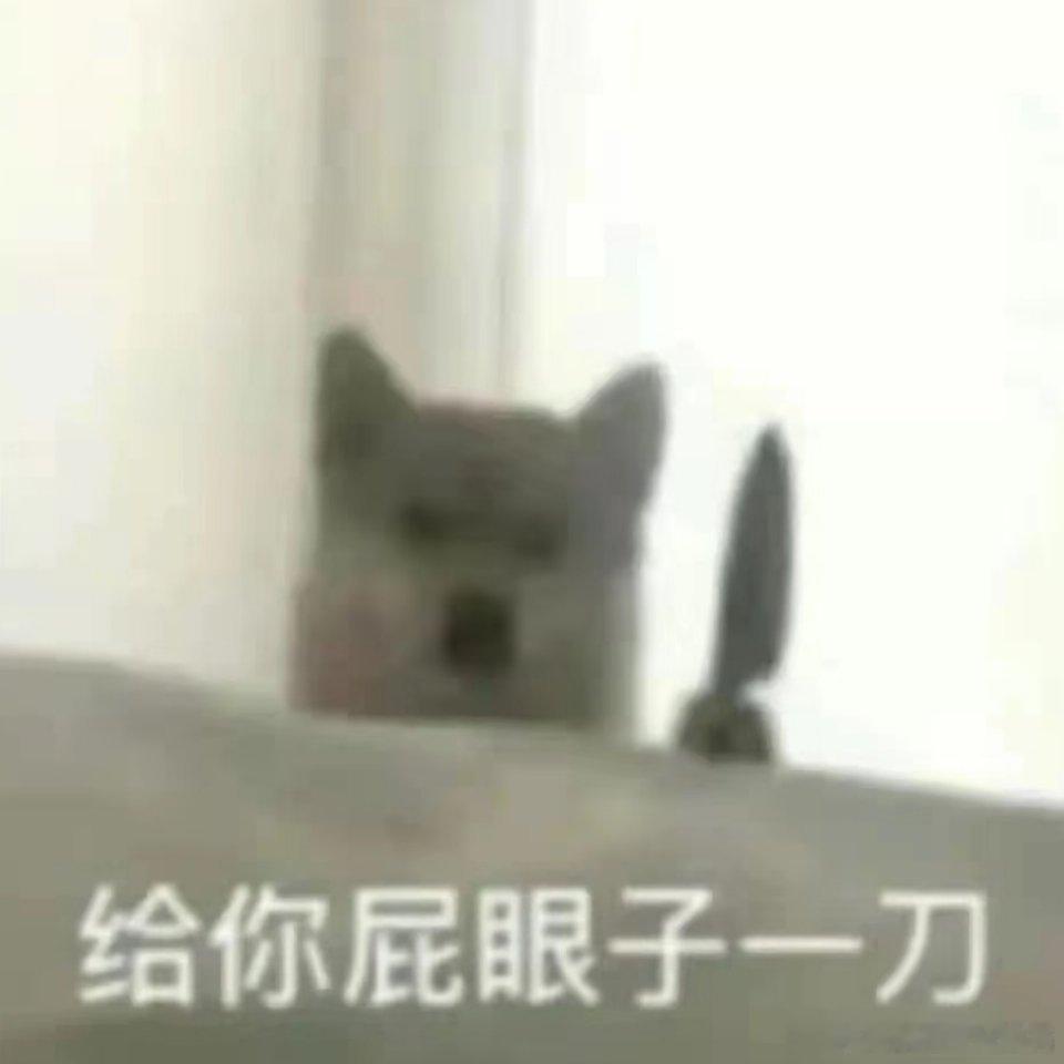 早上看还今天送达，下午看又明天送达了，咋的还越送越远了 ​​​