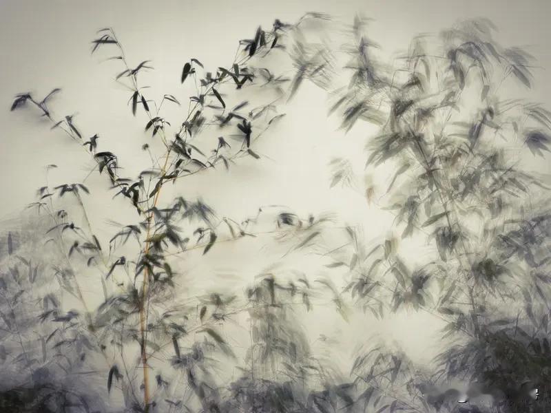 看到“竹影清风摇月色”这个上联，瞬间就被它营造的意境吸引了。上联用拟人手法，让竹