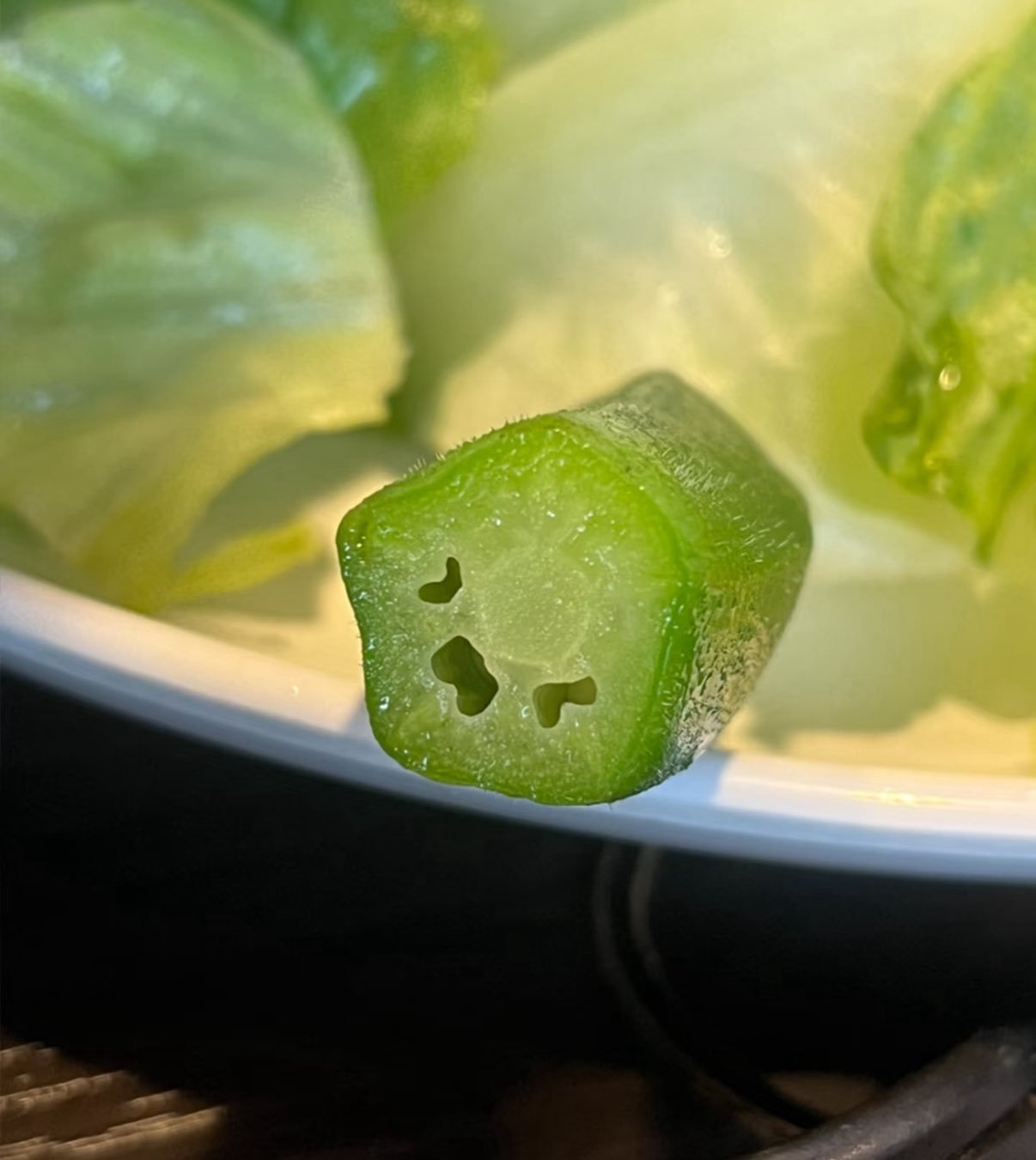 蔬菜水果也是有感情的！꒰ᐡ｡. .̫ .｡ᐡ꒱ 