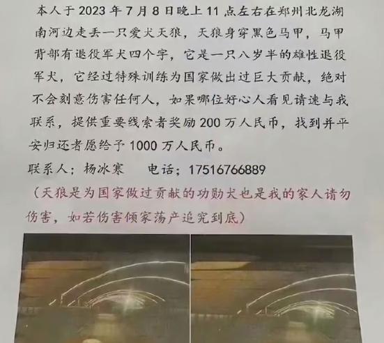 主人悬赏一千万寻狗，找到狗后仅支付五千元，知情人称：寻狗心切，以一千万为噱头
1
