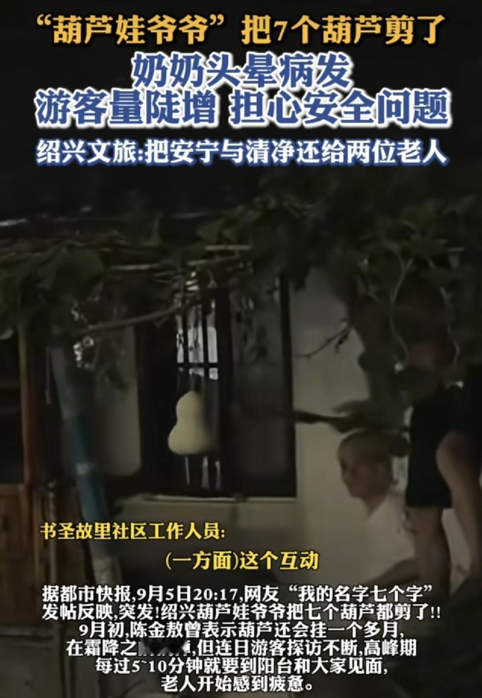 浙江绍兴一位葫芦爷爷最近火了，家门口成熟的7个葫芦挂在树上特别引人注目，有人拍照
