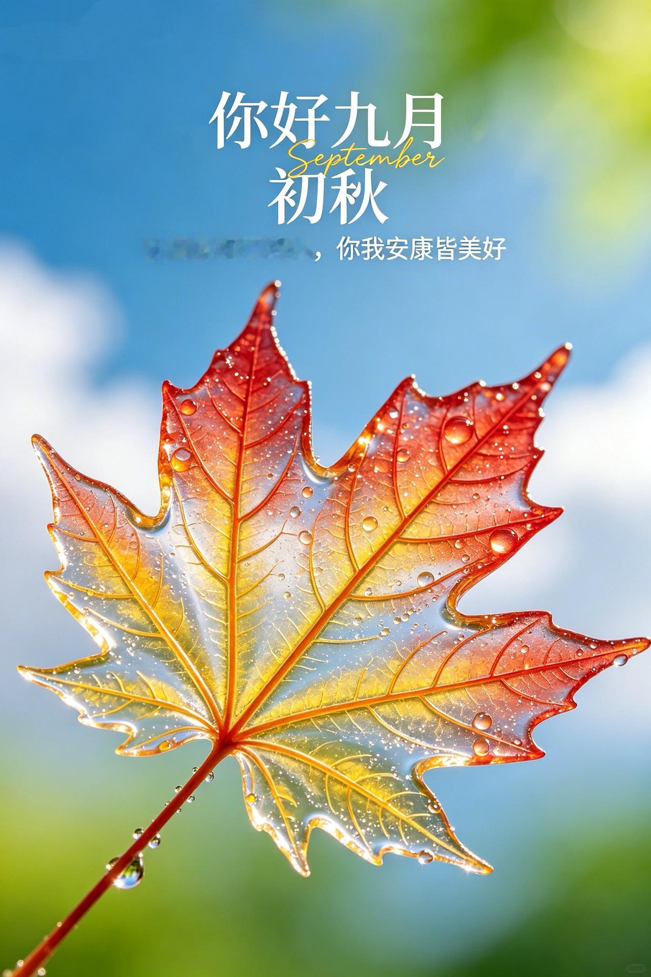 八月再见，九月你好🍁。季节悄然更迭，夏日渐渐退场，初秋的气息扑面而来。回首这一