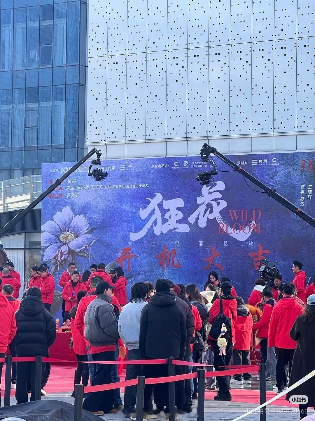 内娱迎来大平番时代，群戏三人组非一番不演，宋茜、王珞丹、王子文按角色正反排名。王