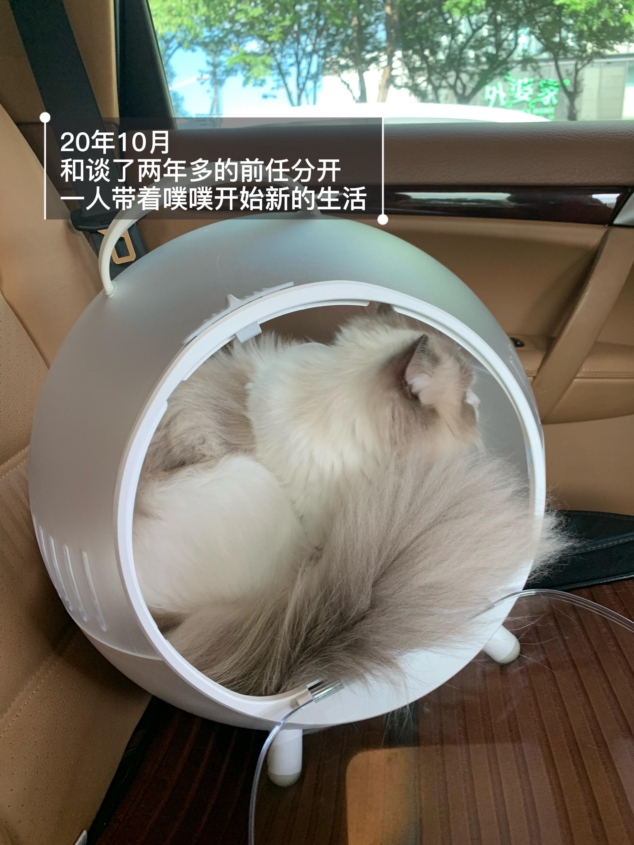 永远都要有“出走的决心” 有时说来也很奇怪  我很容易在一段关系里判断...