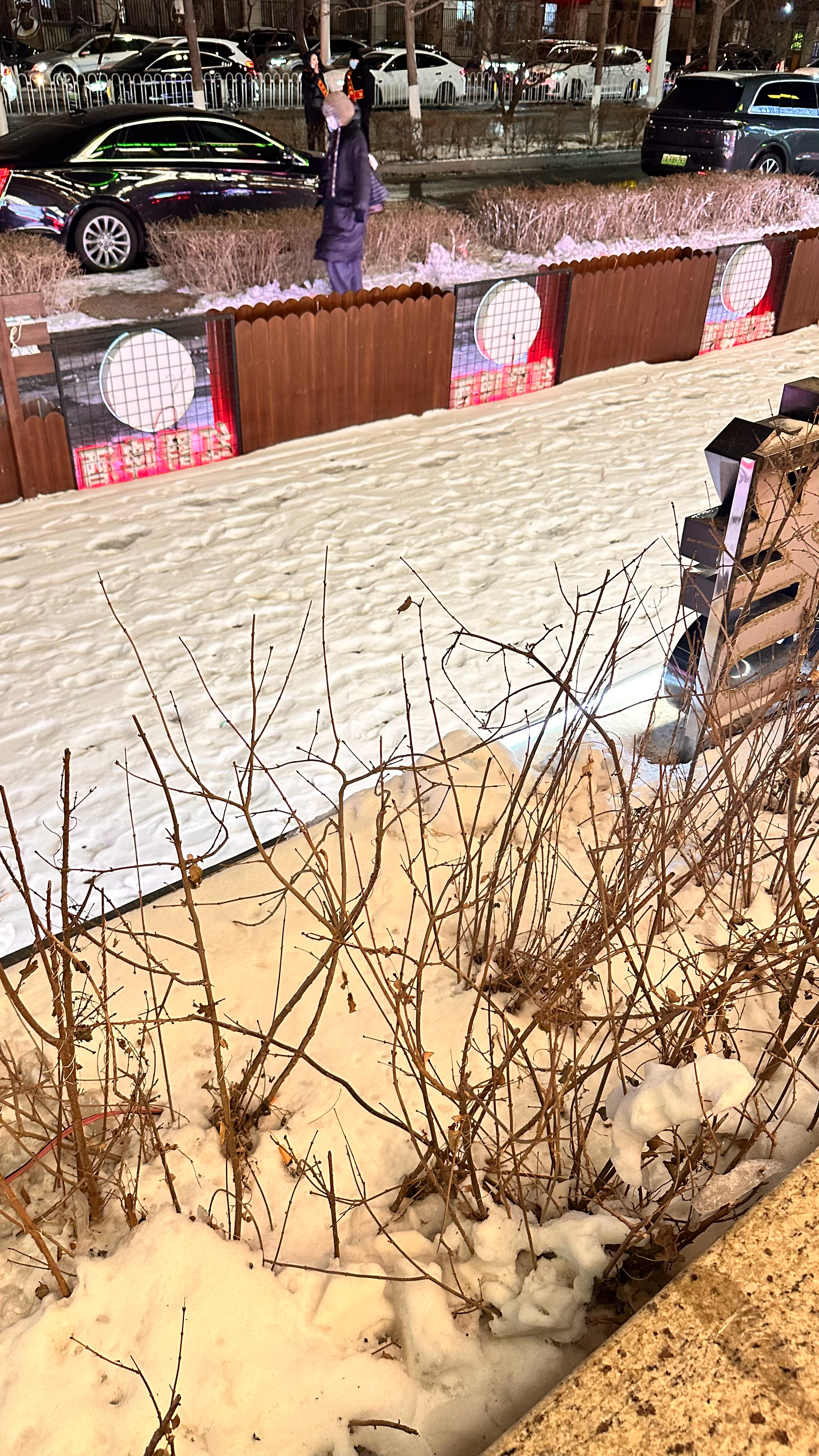 别问我北京冷不冷我现在很冷是真的 