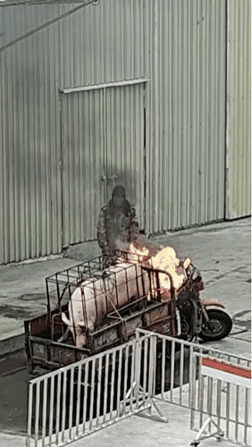 烤活猪是不是有点残酷呢？！