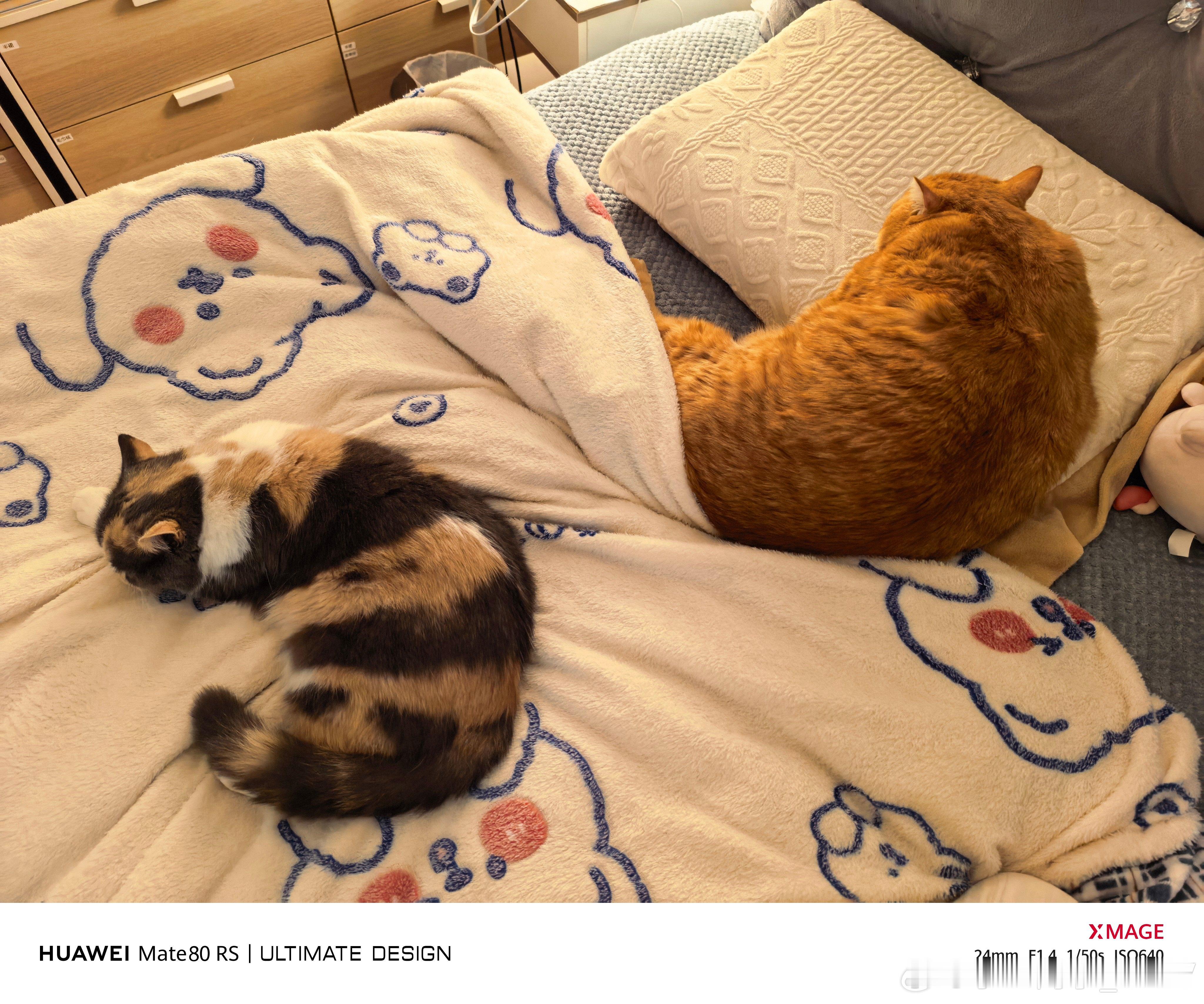 连轴转的时候休息基本上都是在路上，要么飞机上睡会，要么坐车睡会儿，但还是感觉特累