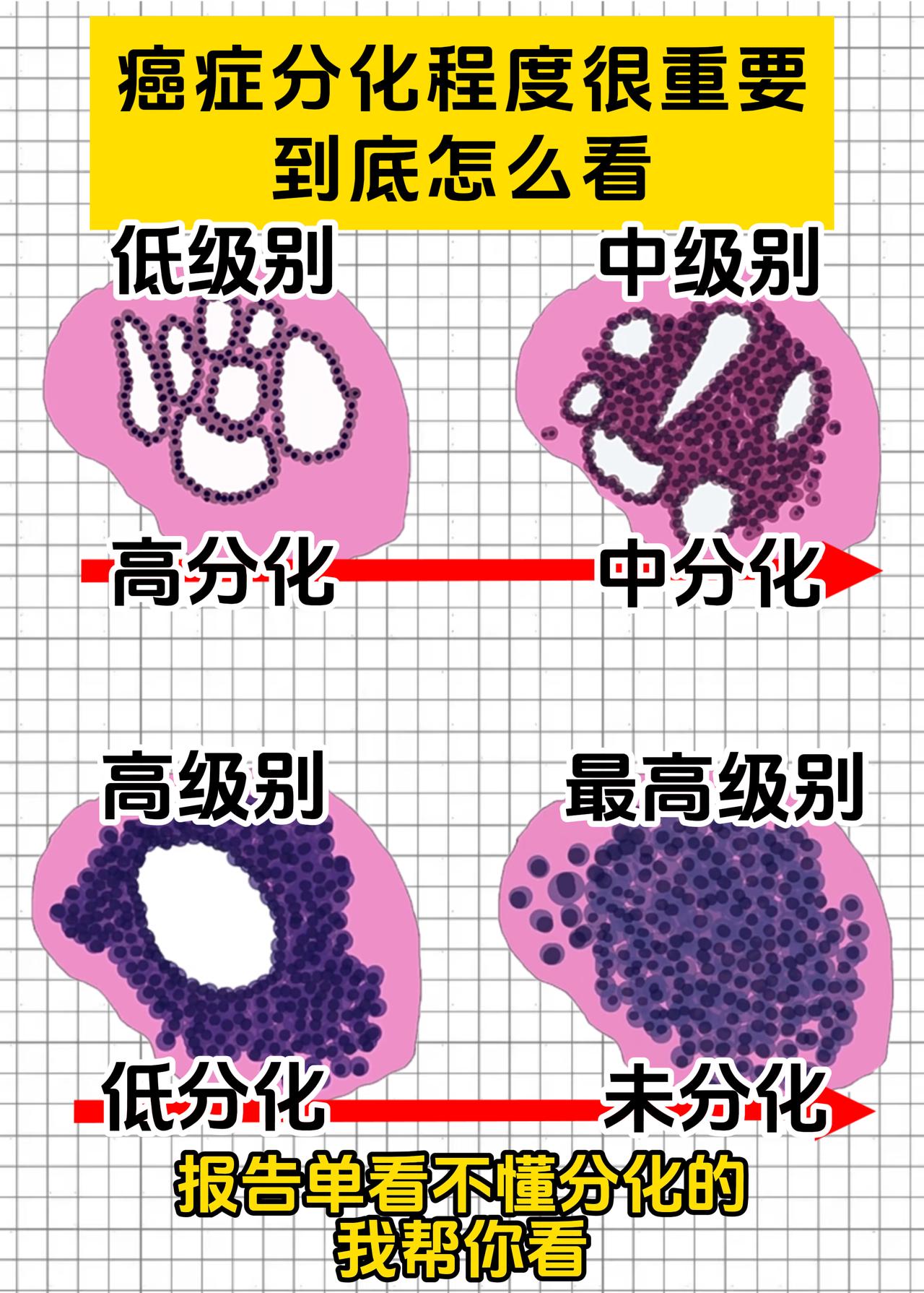分化是比较重要的，单子上没有的我可以帮你