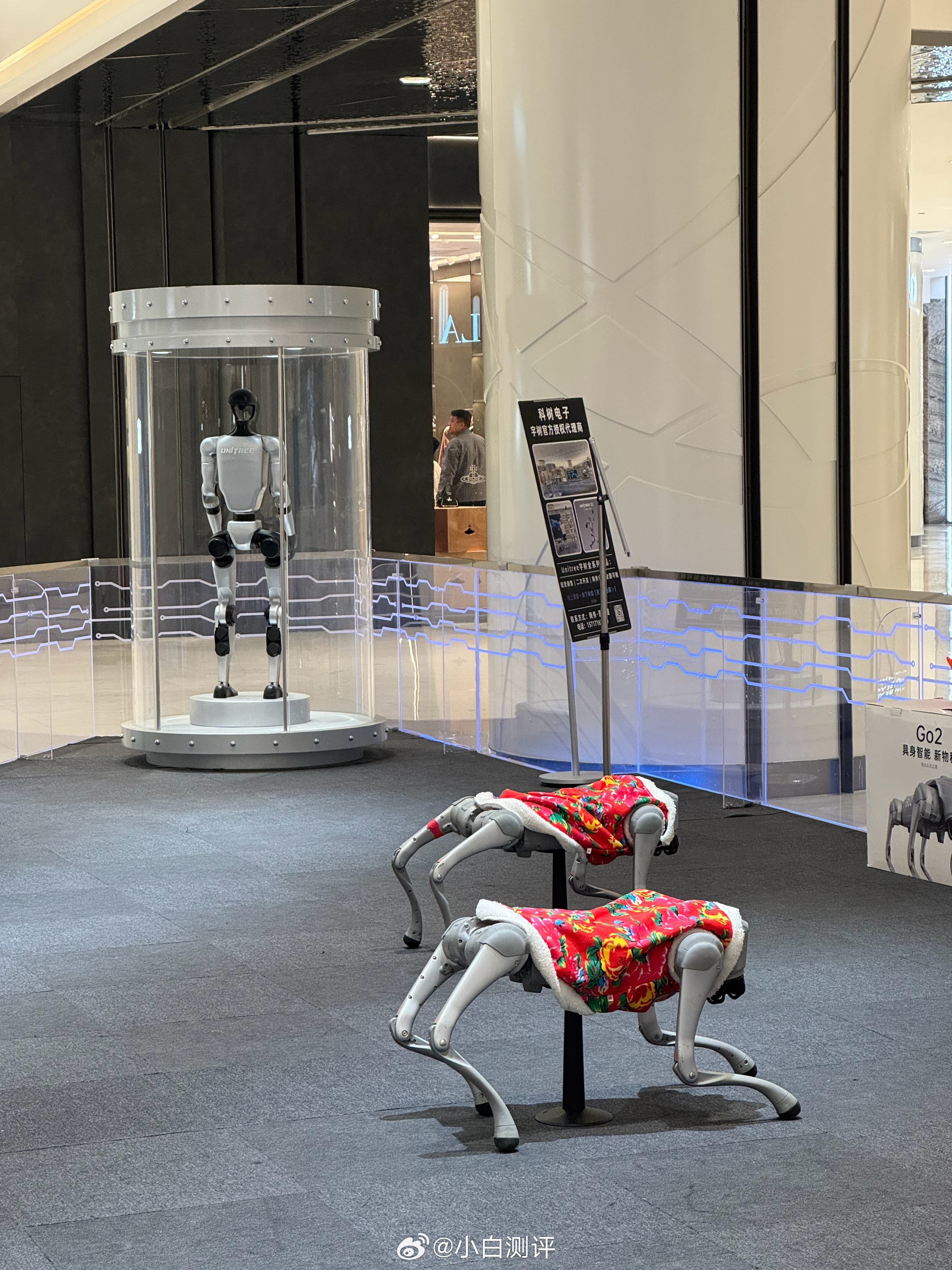 99块钱15分钟机器狗体验时间值不值？ 