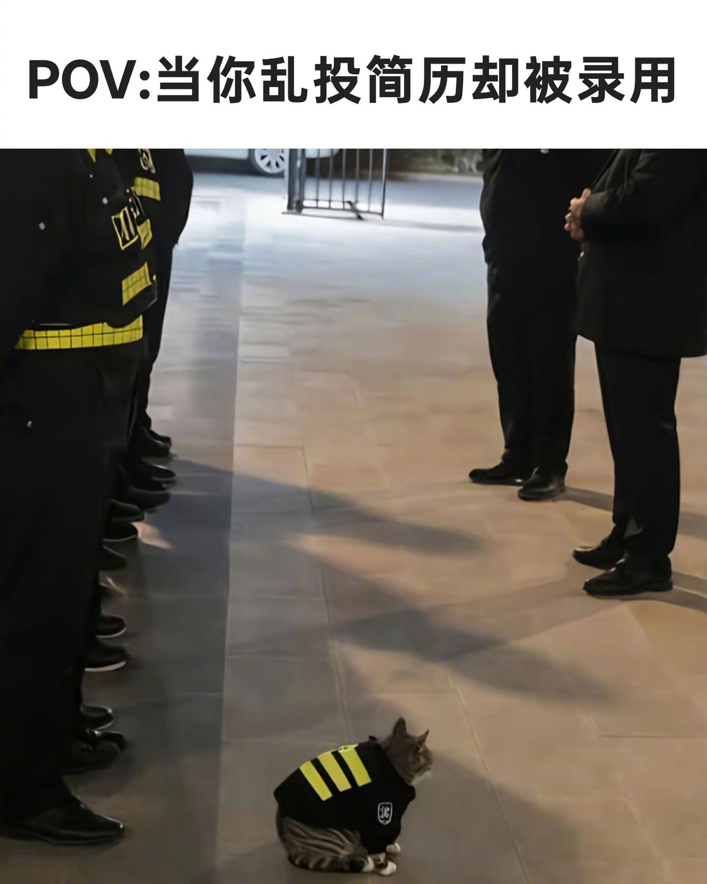 当你乱投简历被录用后！ 