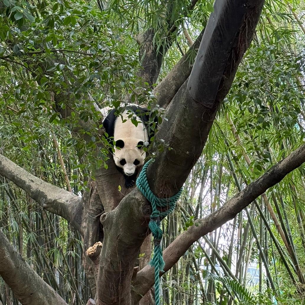 请用一句话概括人生的意义大千世界千姿百态总一个与众不同的你，笑着爱着，与世界共舞