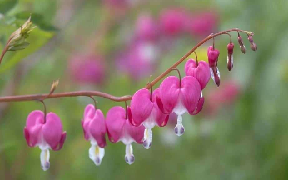 郓城县黄集镇阳城东关



【沿革】 清同治年间（1862—1874年）始有王氏