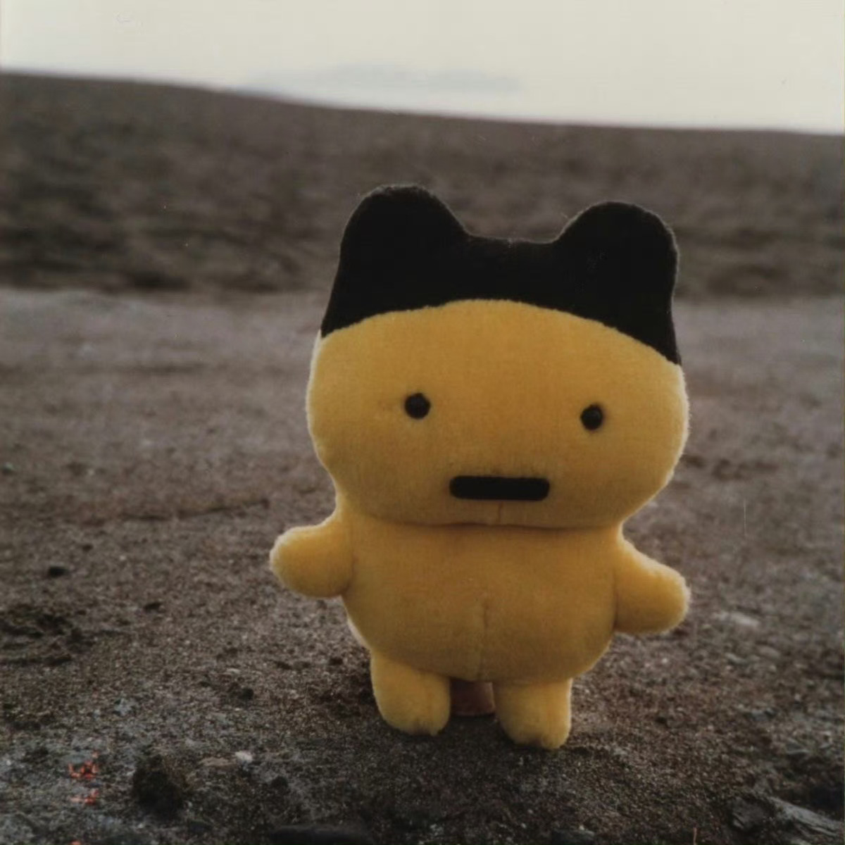 萌萌头像˶>𖥦<˶ 