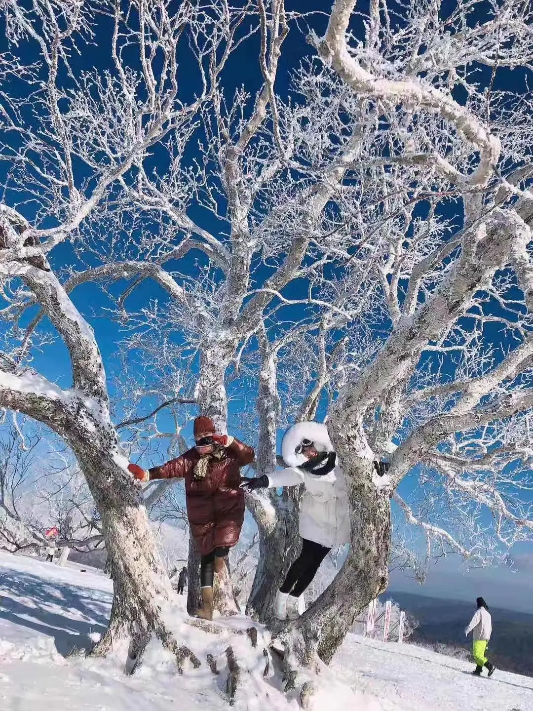 其实最真的感情都在喝多时想到的最重要的人