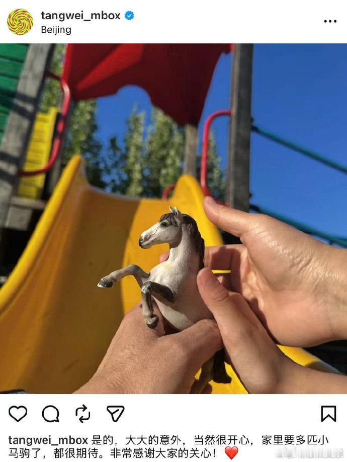 汤唯宣布怀二胎汤唯回应怀二胎 刚刚，汤唯在社交平台晒出一只小马驹照片宣布怀二胎喜