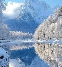 《冬天的秘密》
在遥远的北方，有一座被冰雪覆盖的小村庄。这里的冬天格外漫长，村民