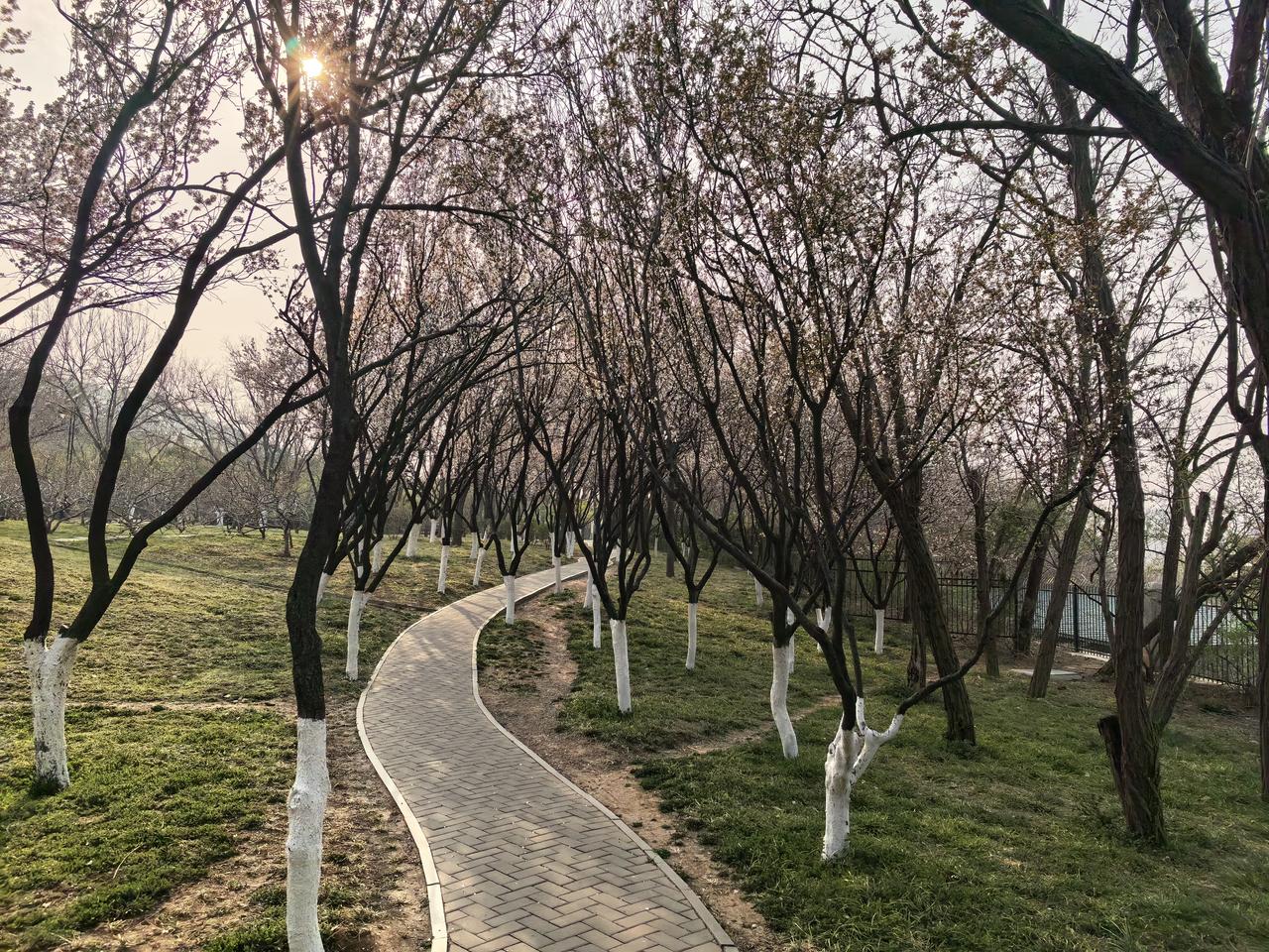 记录我的2026曲径通幽处，禅房草木深