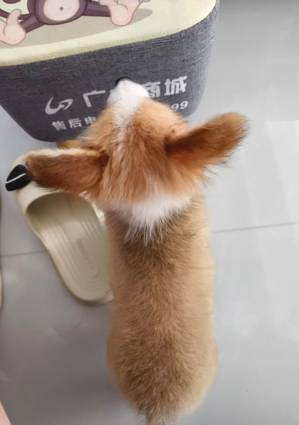 小时候小小一只 