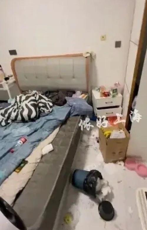 上海，一房东把房子租给00后情侣，两人却拖欠房租，就在房东急得焦头烂额时，两人突