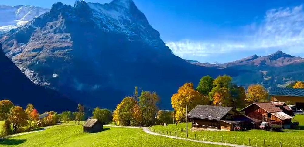 分享一张你最近随拍的照片