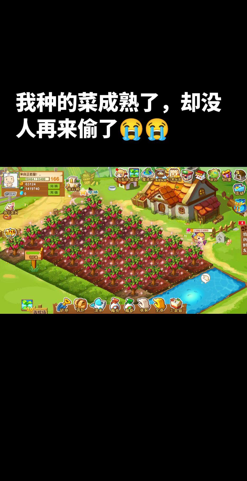 经典游戏 Qq农场 qq农场偷菜 qq农场90后回忆杀