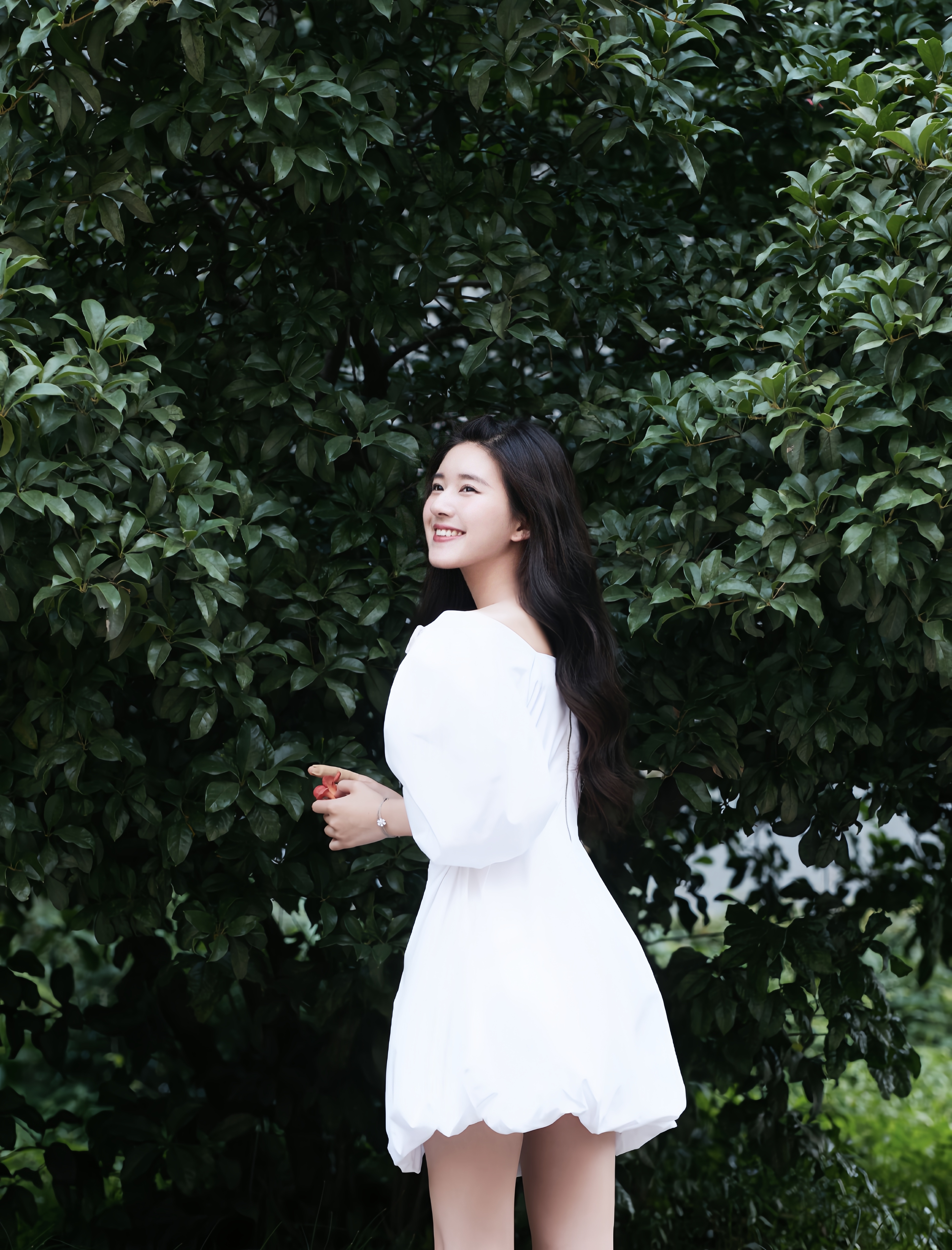 清新🍃赵露思/给赵露思的七夕星河情书
