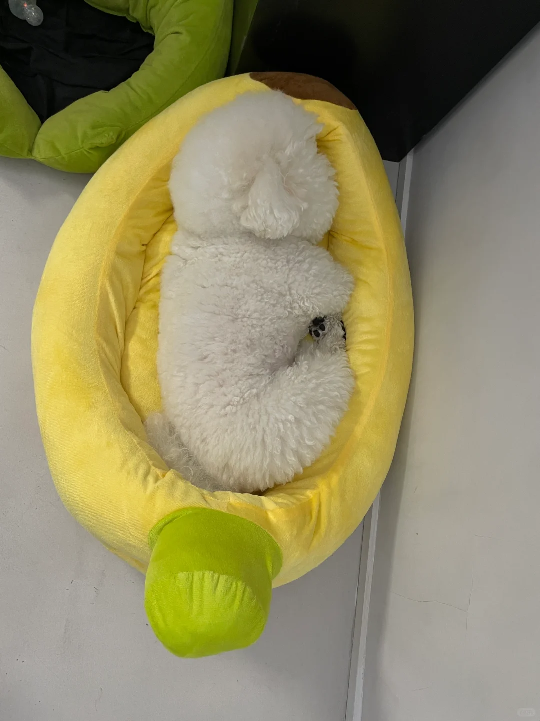 你倒是睡得舒服，留我一人打工