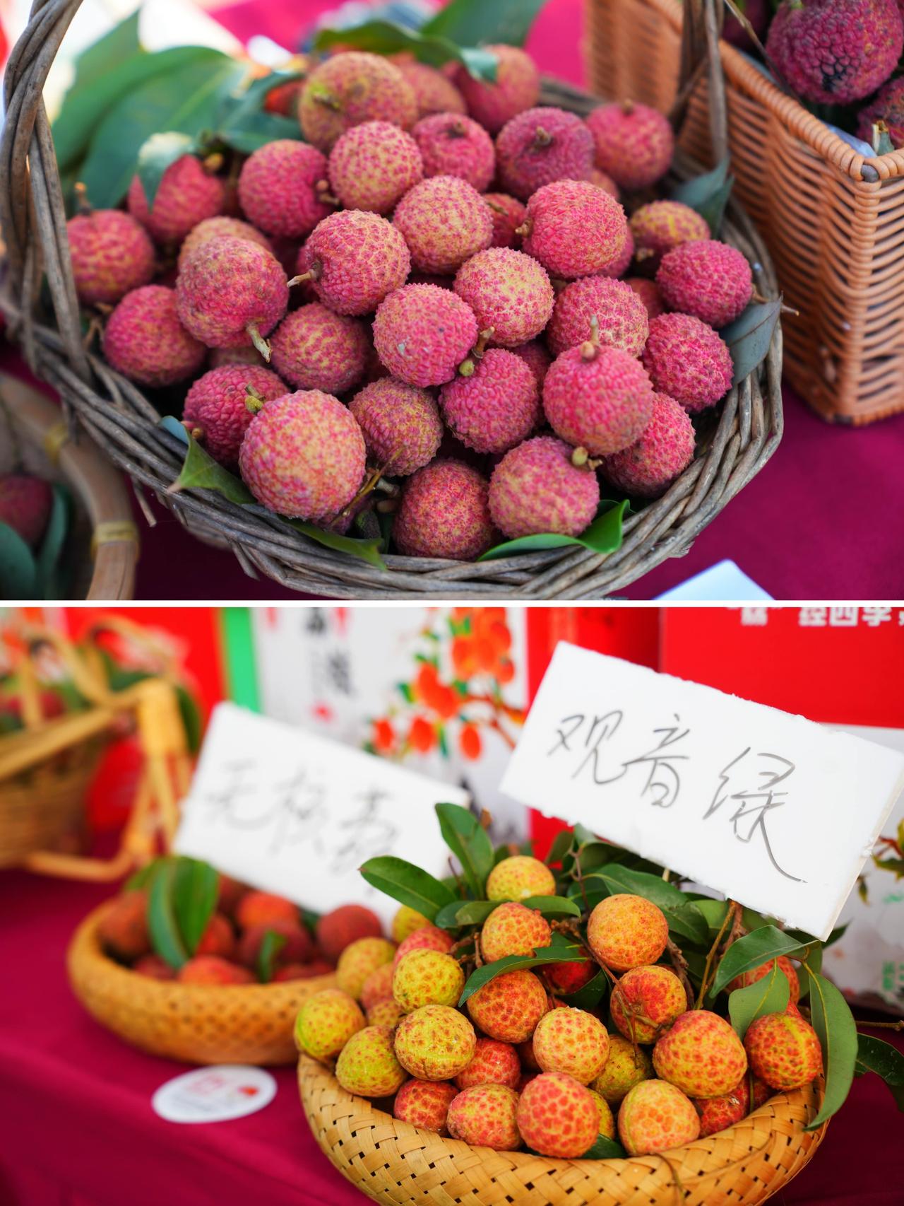 在千年荔乡赶大集！2026灵山“灵供优品”市集，好吃好玩到扶墙出

姐妹们！如果
