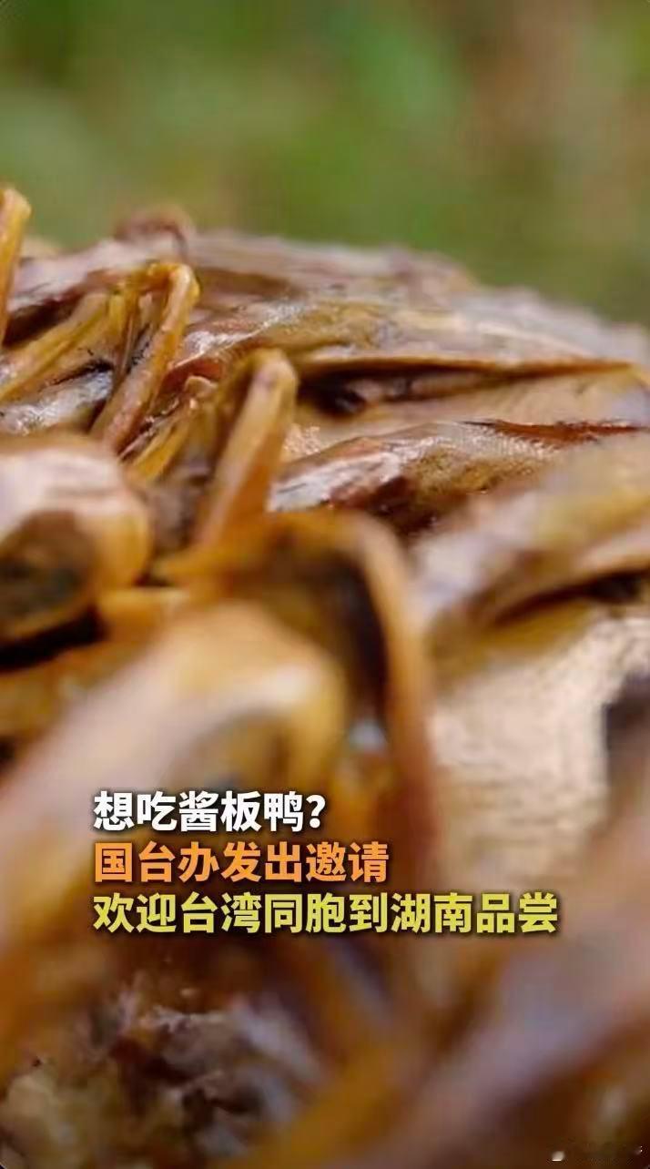 欢迎台湾同胞到常德郴州株洲品尝酱板鸭 别忍了，馋就对了。常德郴州株洲，三城酱板鸭
