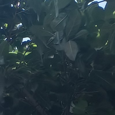 每日一善 谁都有梦想，但要立足现实，在拼搏中靠近，在忍耐中坚持。 