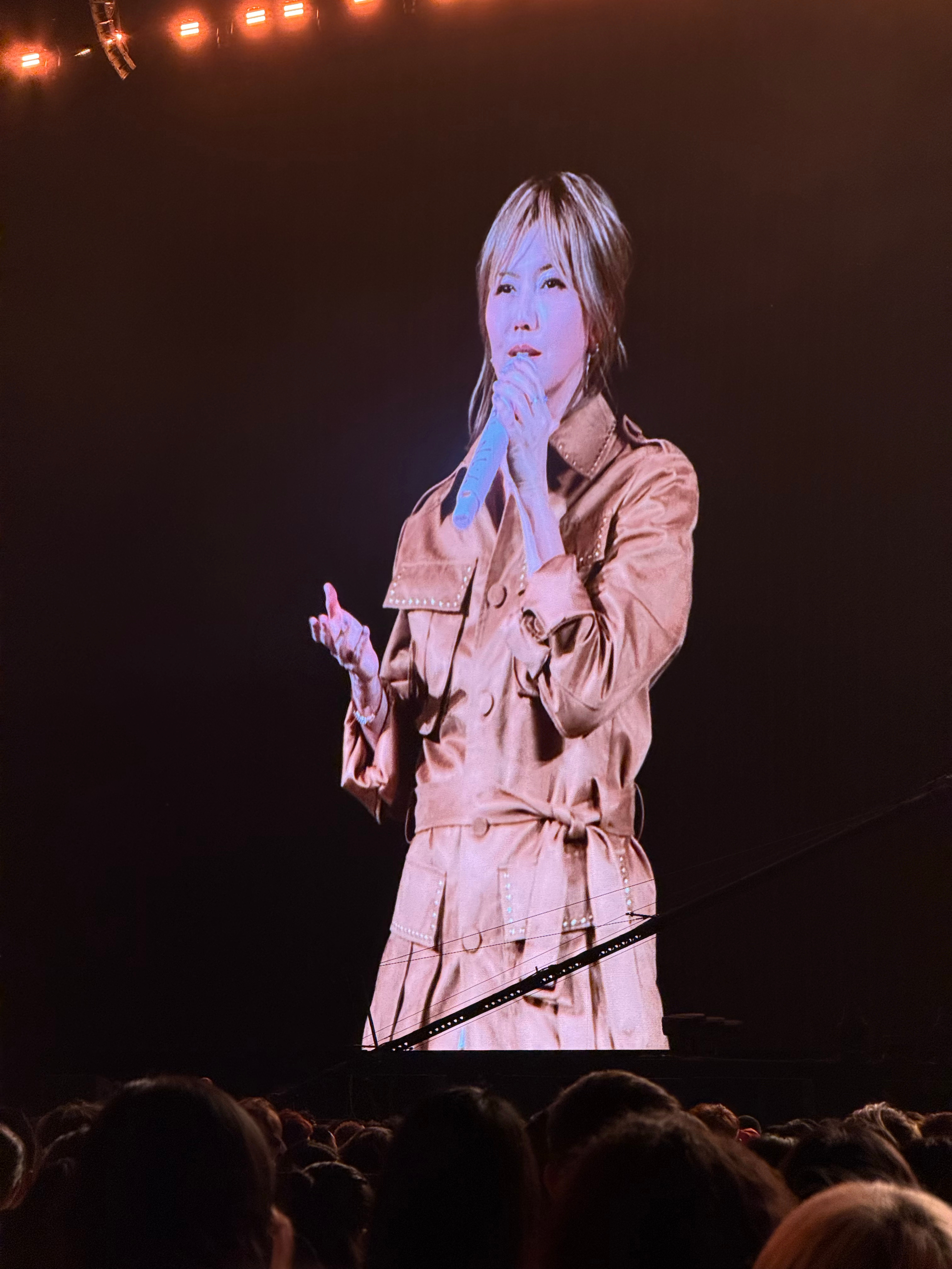 再不安可我们就老了3.15香港追姿成功孙女士太美了新衣服+三首点歌+安可曲伟大的