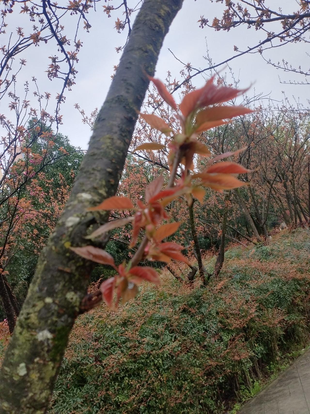 养儿子，最需要注重的那几点，决定他一生幸福与成功

在传统观念中，养儿子往往寄托
